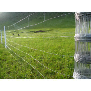 Valla de ganado de metal galvanizado sumergido caliente pesado